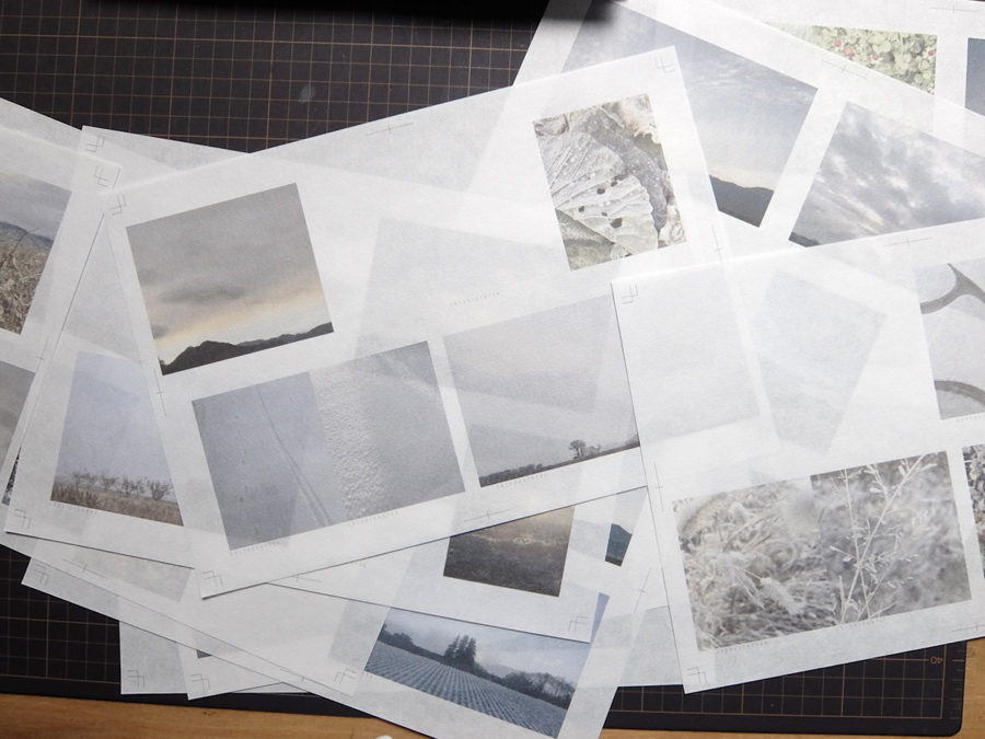 tokiori企画j十五『草の縁（ゆかり）』