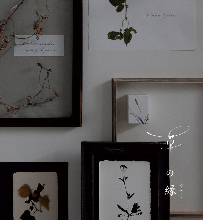 tokiori企画十五『草の縁（ゆかり）』